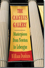 the_calculus_gallery