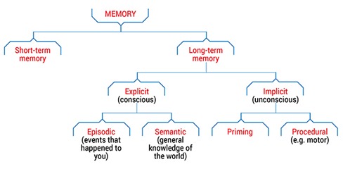 memory-types